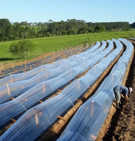 Primeira etapa da fiscalização do seguro rural segue até outubro