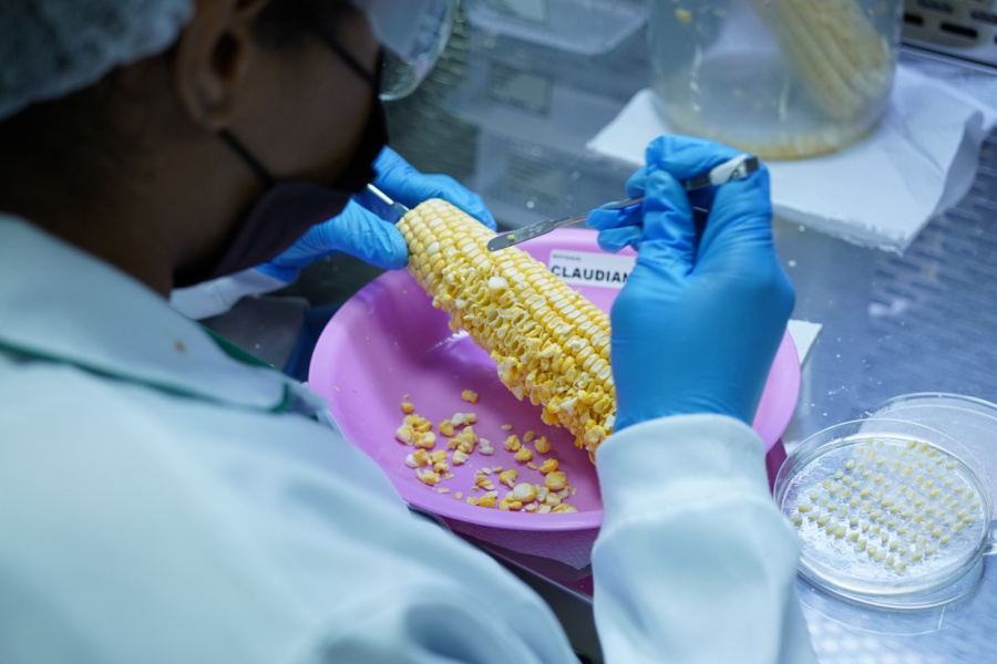 TOP FARMERS: Sempre Agtech apresenta os avanços dos defensivos biodiridos no Top Farmers