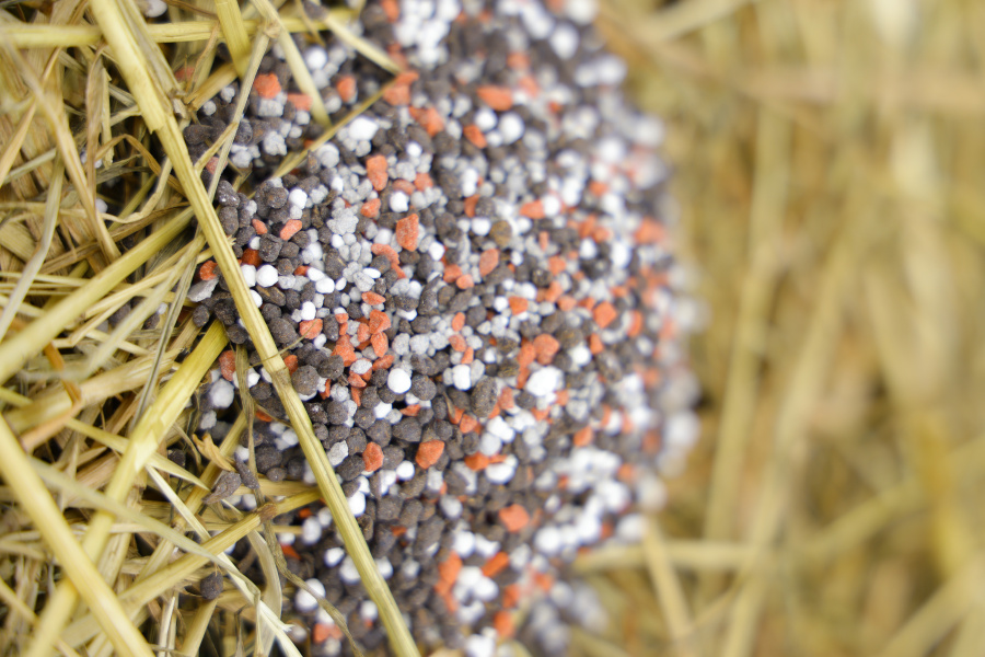Fertilizantes orgânicos fornecem nutrição equilibrada e completa para todo o ciclo da cultura