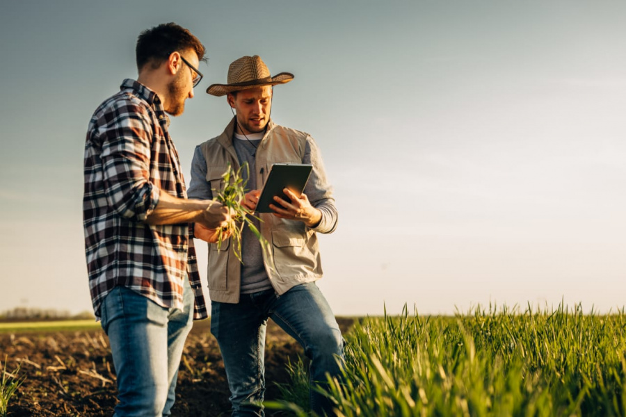 Referência do agro em vendas diretas, Produce leva modelo de negócio para a Top Farmers 2023
