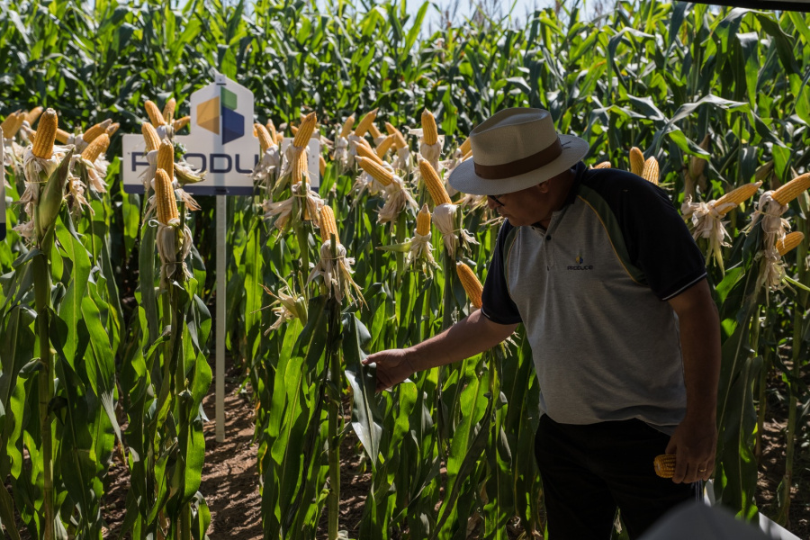Evento em Rondonópolis(MT) vai promover a expansão das vendas diretas no agro
