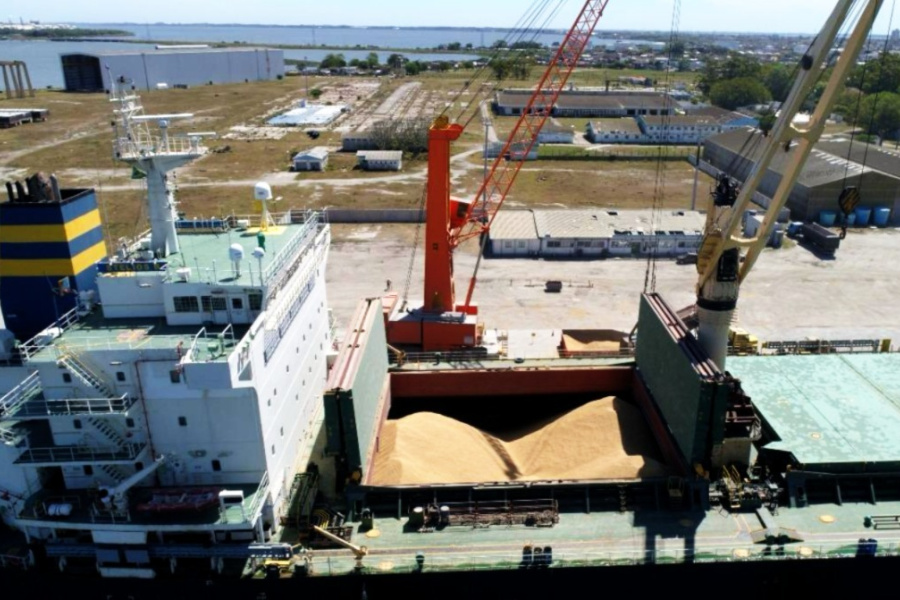Cooperativa Palmares estreia na exportação de arroz e fortalece liderança no setor