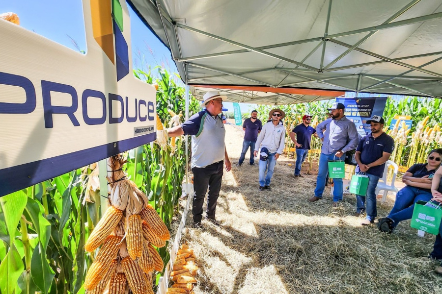 Vendas diretas no agro devem dobrar em 2025
