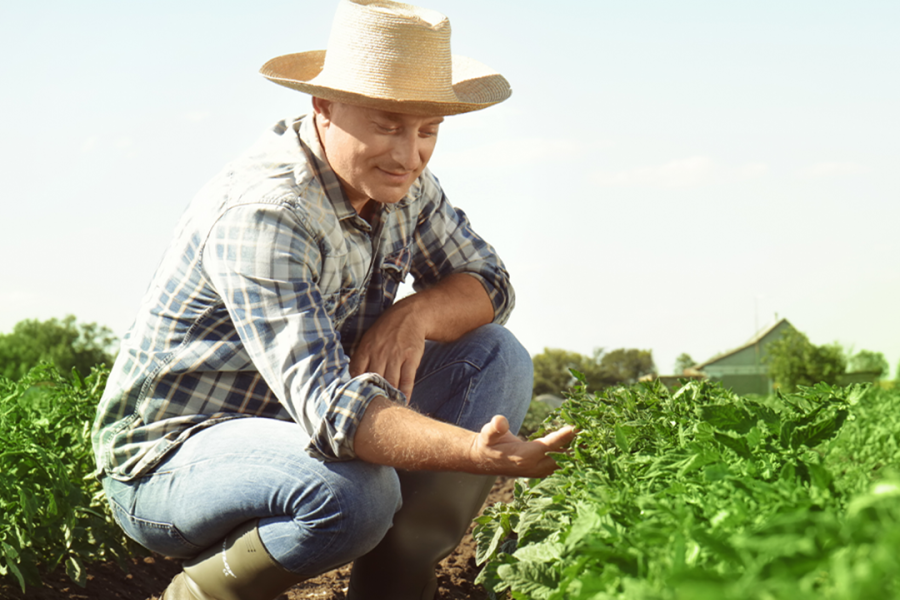Agronegociar e Asbraer unem forças para fortalecer agricultura familiar com tecnologia e conexão no campo