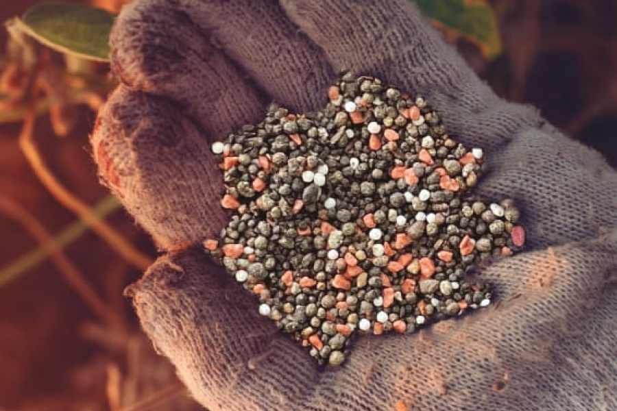Brasil precisa fortalecer produção de fertilizantes e reduzir dependência externa, alerta especialista da Terraplant