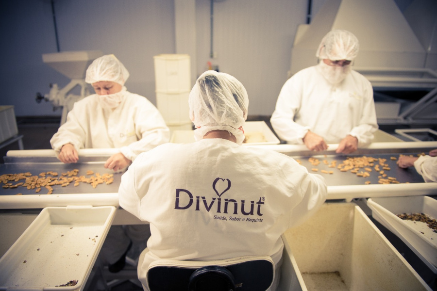 Divinut faz história e coloca o Brasil no mapa mundial da noz-pecã com certificações internacionais inéditas